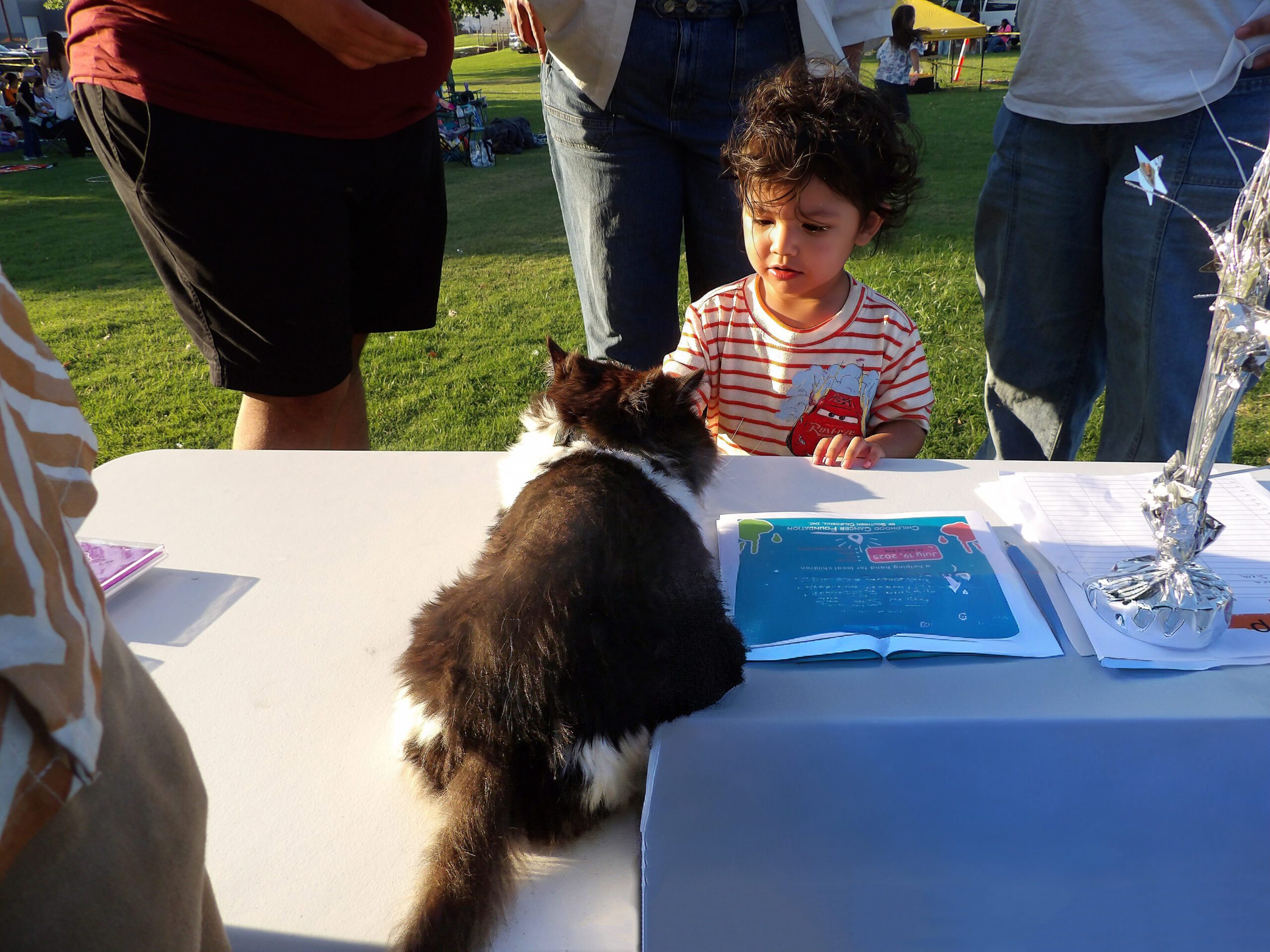 100 0187 Enhance Sharpen Face Enhance Sharpen Face Remove Enhance Sharpen Face Lighting