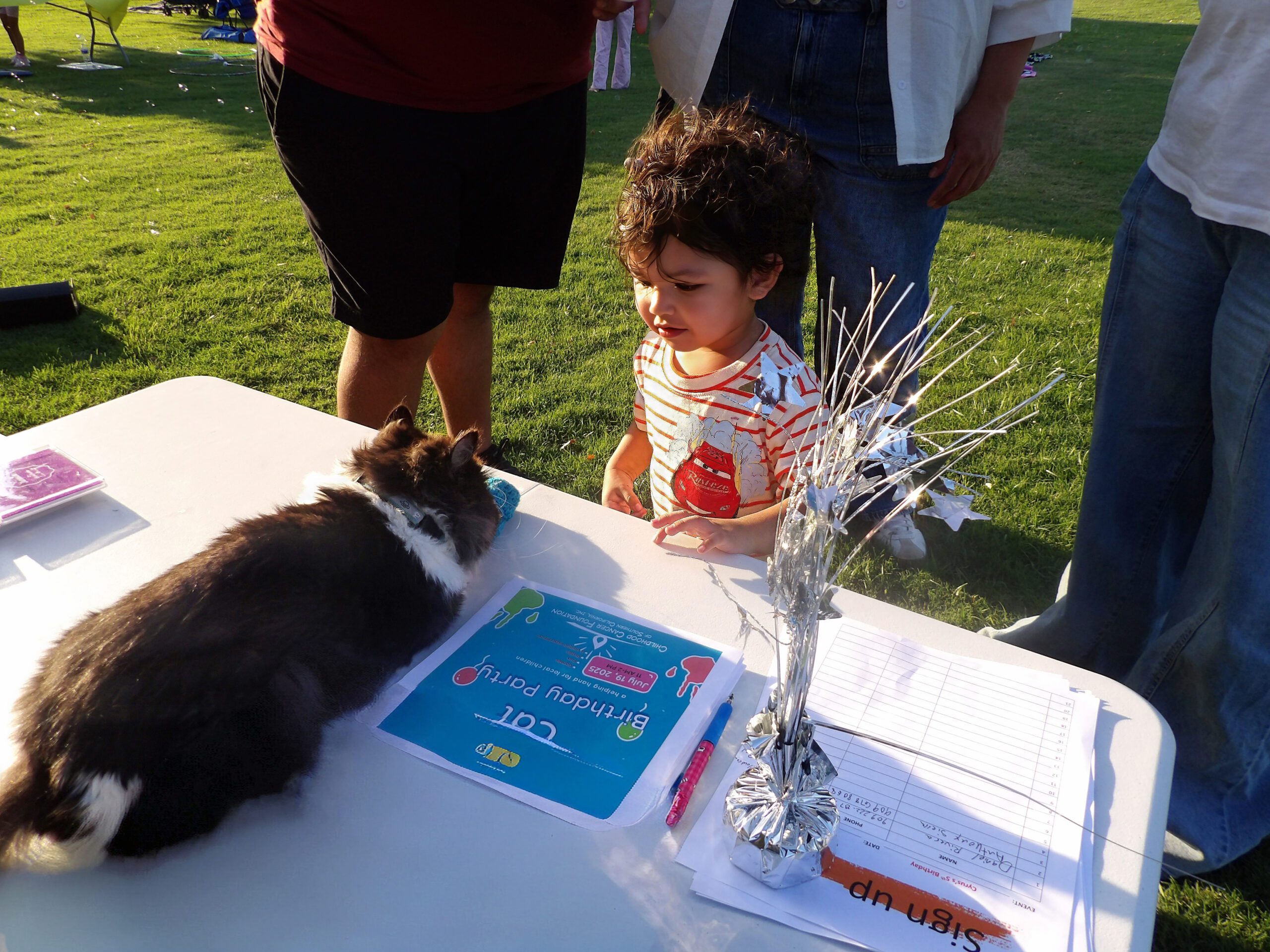 100 0188 Enhance Sharpen Face Enhance Sharpen Face Remove Enhance Sharpen Face Lighting